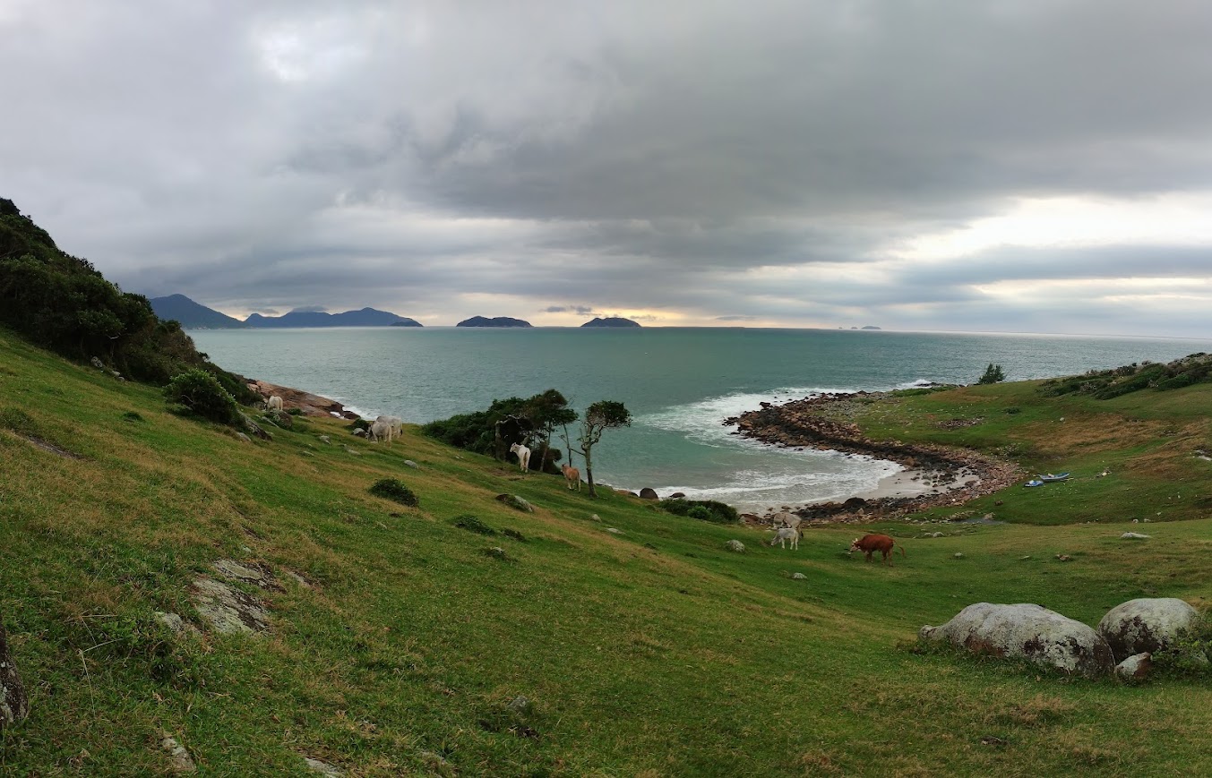 Ondas batendo nas pedras da costa